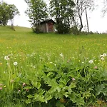 Apartamento Haus Bergfried Filzmoos