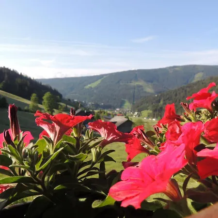 Haus Bergfried 아파트 필즈모스