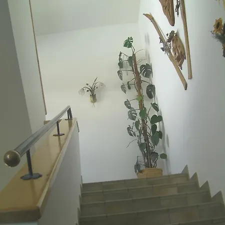 Haus Bergfried Apartman Filzmoos