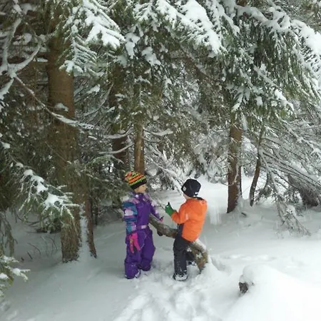 Haus Bergfried Filzmoos