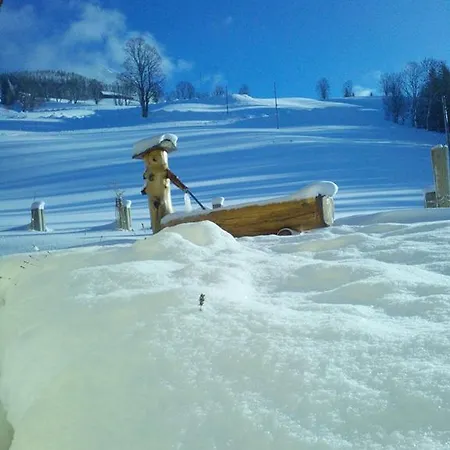 Haus Bergfried Filzmoos