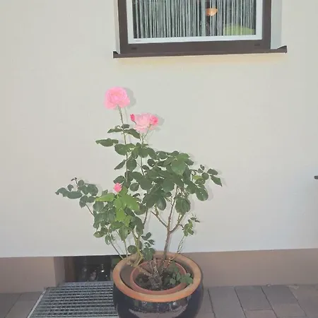 Haus Bergfried 아파트 *