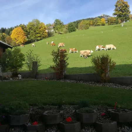 Haus Bergfried Apartman