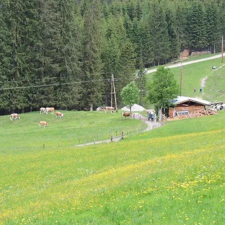 Haus Bergfried * 필즈모스