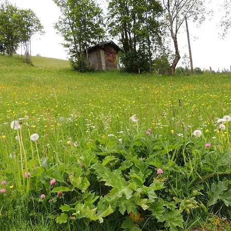 Apartman Haus Bergfried Filzmoos