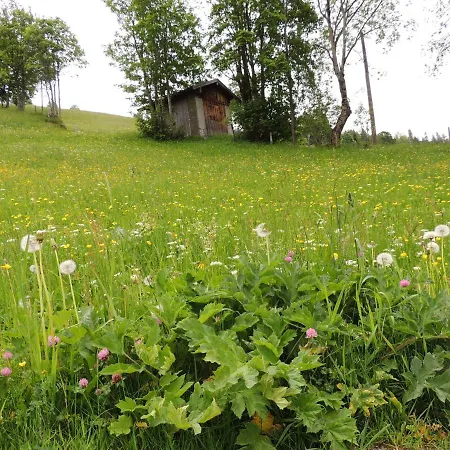 Appartement Haus Bergfried Filzmoos