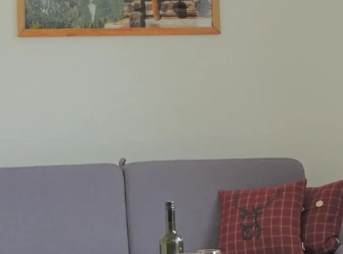 Haus Bergfried شقة فيلزموس