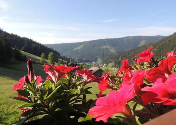 Haus Bergfried Appartement Filzmoos