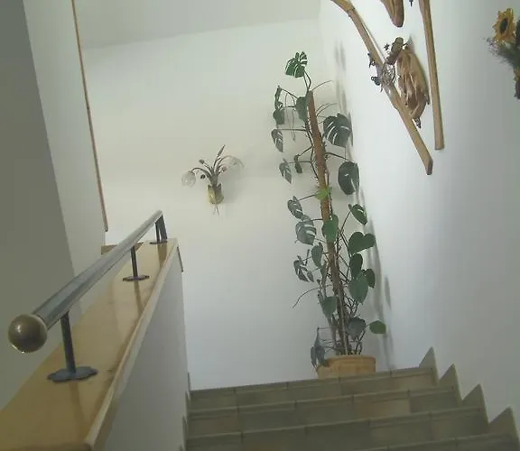 Haus Bergfried شقة فيلزموس