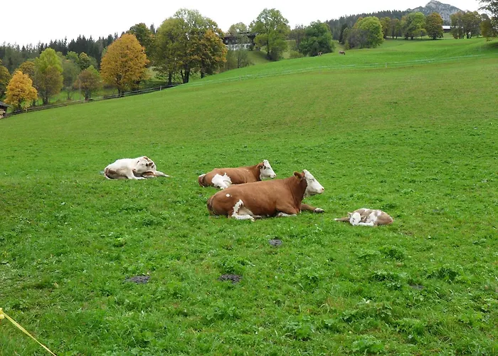 Haus Bergfried Filzmoos