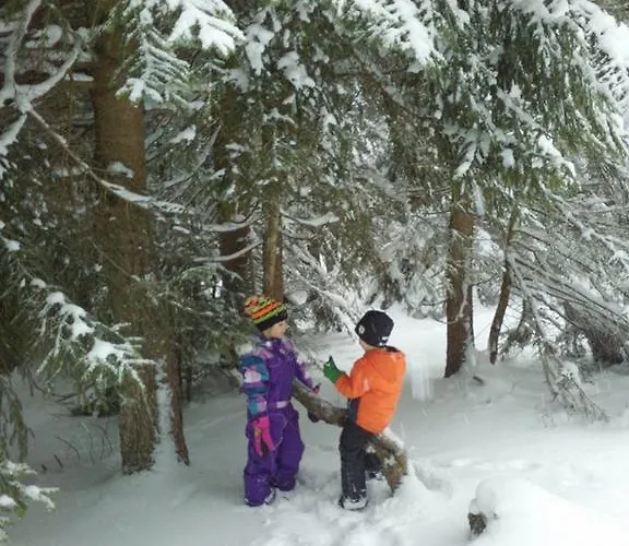 Haus Bergfried Filzmoos