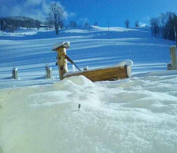 Haus Bergfried Filzmoos