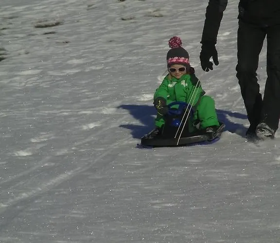 Appartement Haus Bergfried