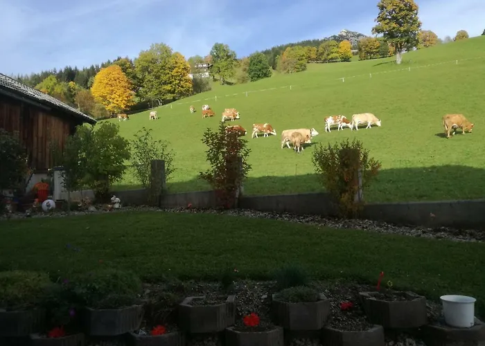 Haus Bergfried Appartement