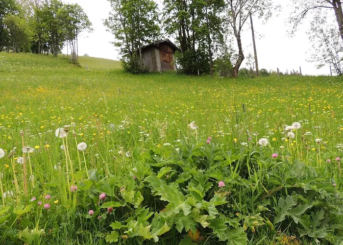 Appartement Haus Bergfried Filzmoos